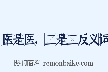 医是医，二是二反义词是什么意思的图片